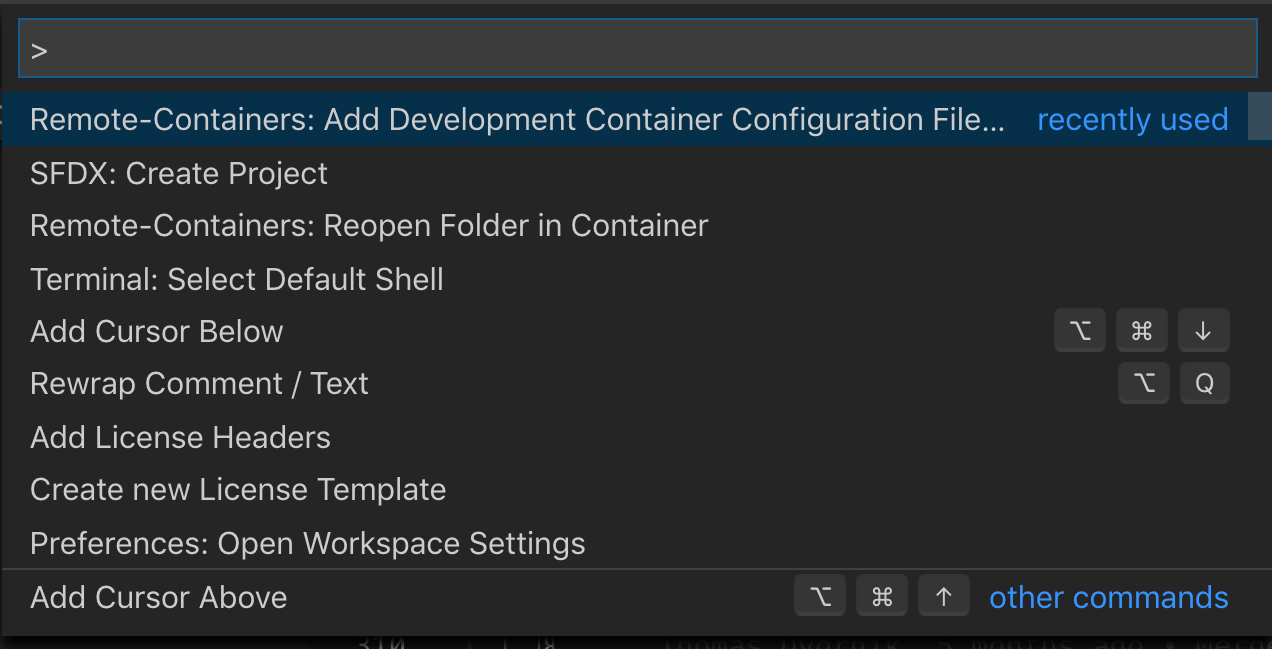 Add Dev Container Config Files